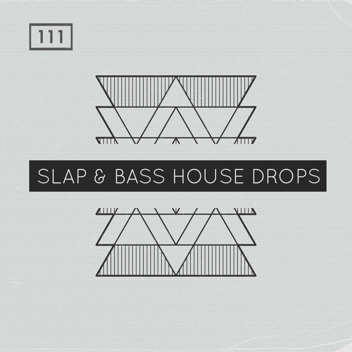 Slap & Bass House Drops