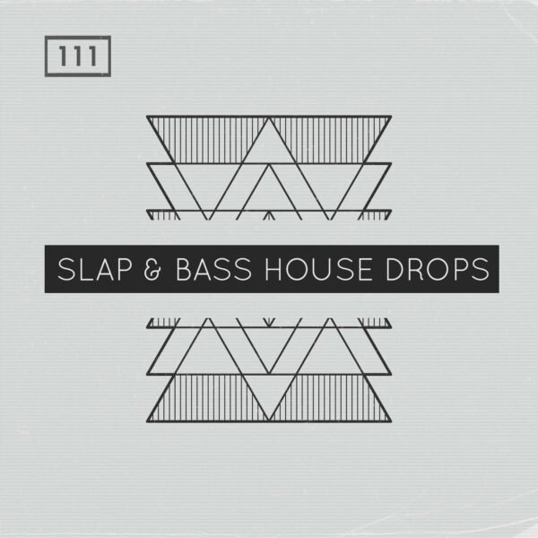 Slap & Bass House Drops
